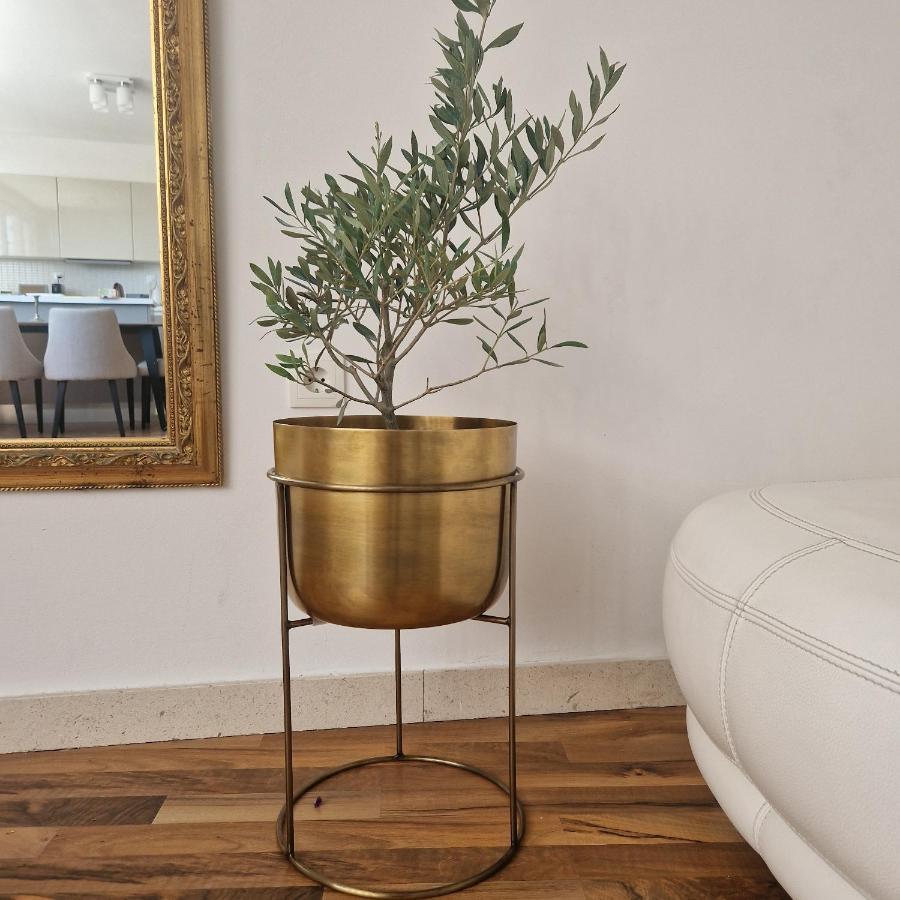 דוברובניק Villa Homa מראה חיצוני תמונה